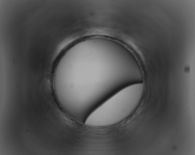 X0000101971312200807180716