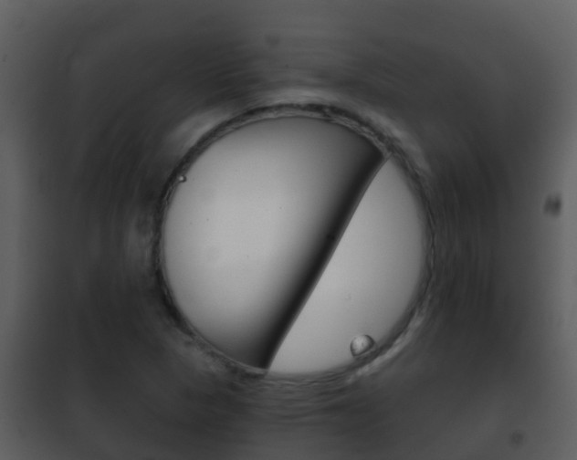 X0000101971313200807180716