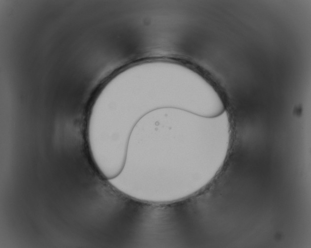 X0000101971314200807180716