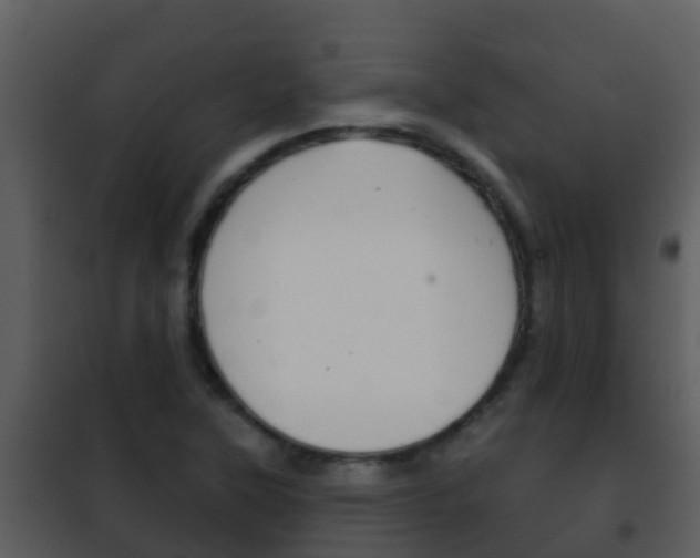 X0000101971315200807180716
