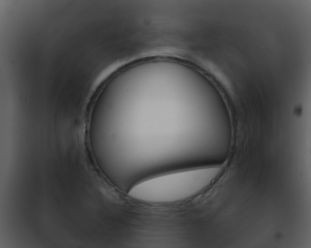 X0000101971316200807180716