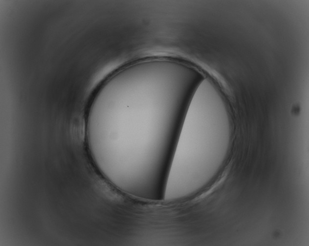 X0000101971317200807180717