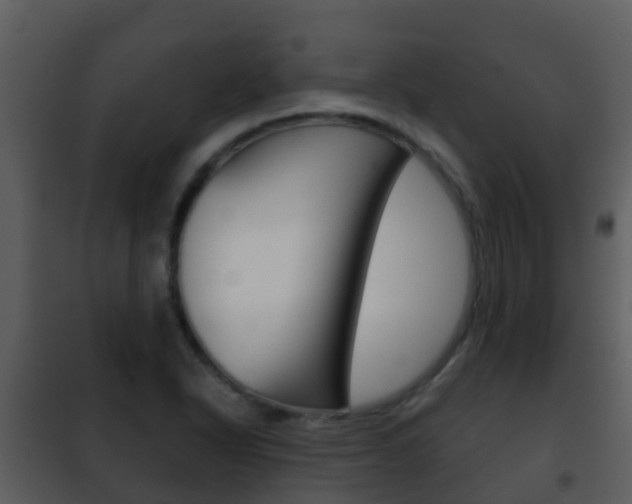 X0000101971318200807180717