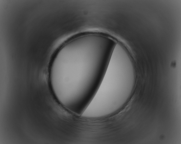 X0000101971319200807180717