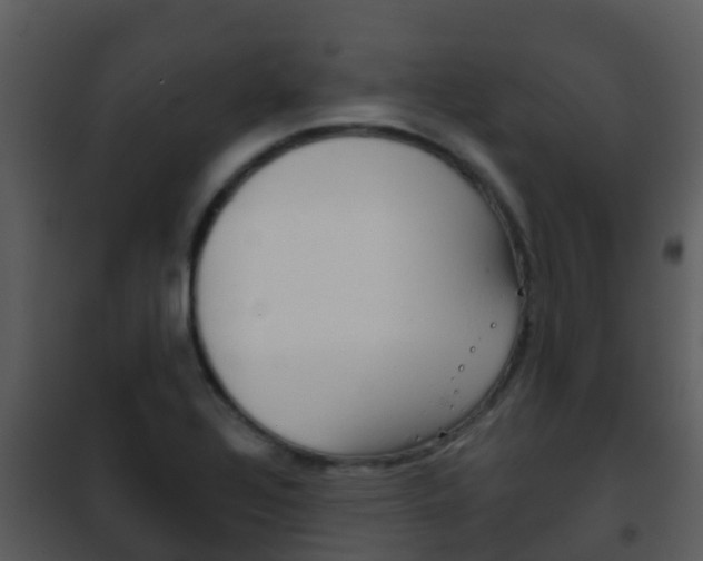 X0000101971320200807180717