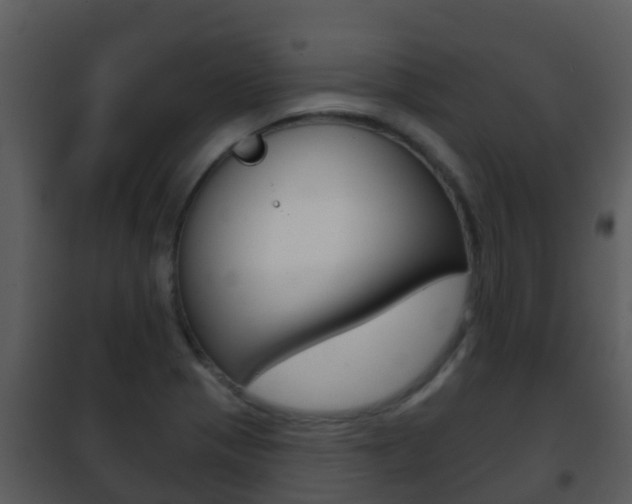 X0000101971321200807180717