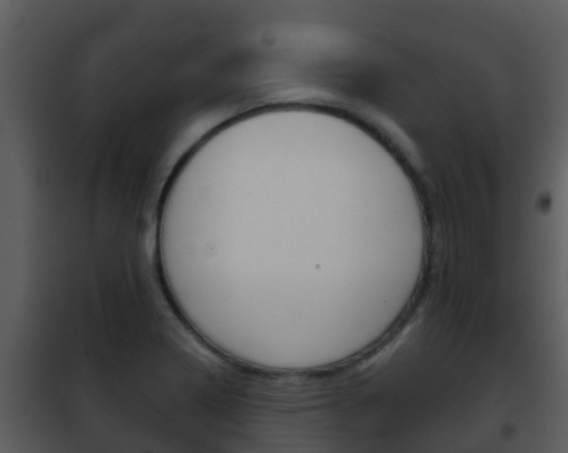 X0000101971322200807180717