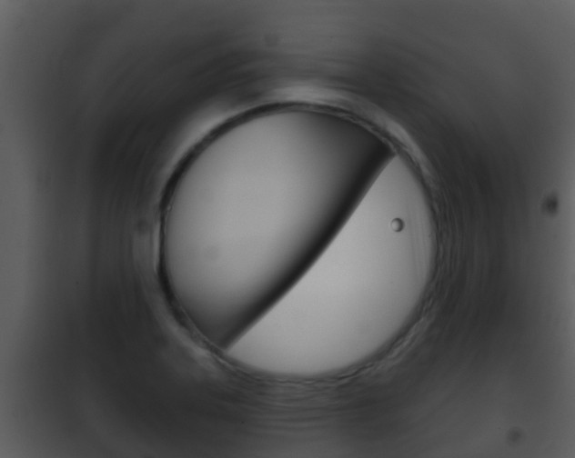 X0000101971323200807180717