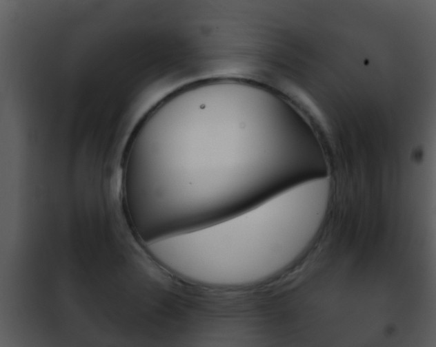 X0000101971324200807180717
