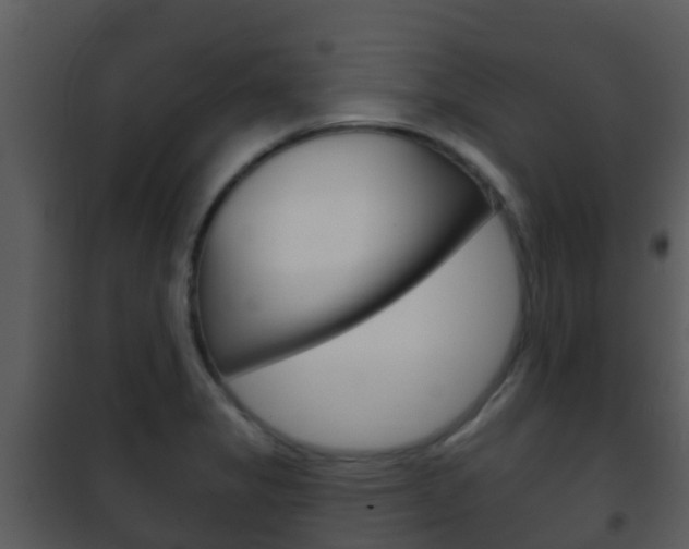 X0000101971325200807180717