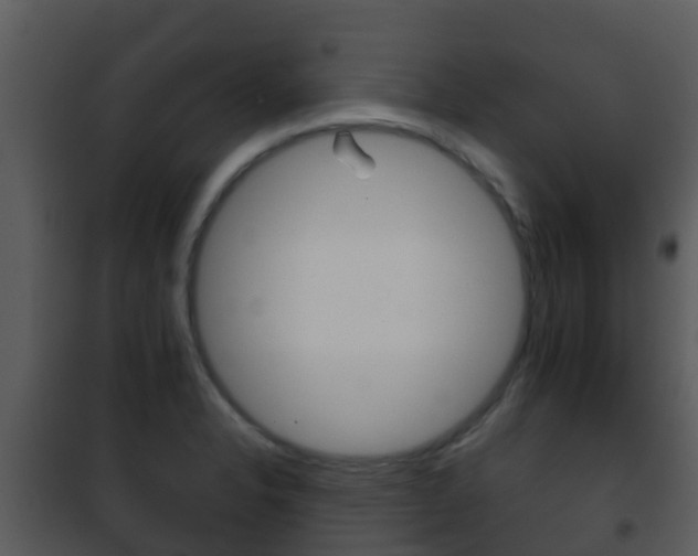X0000101971326200807180717