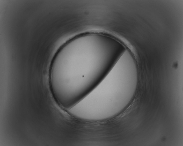 X0000101971327200807180717
