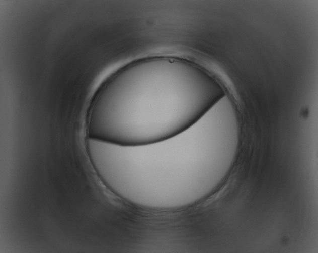 X0000101971328200807180717