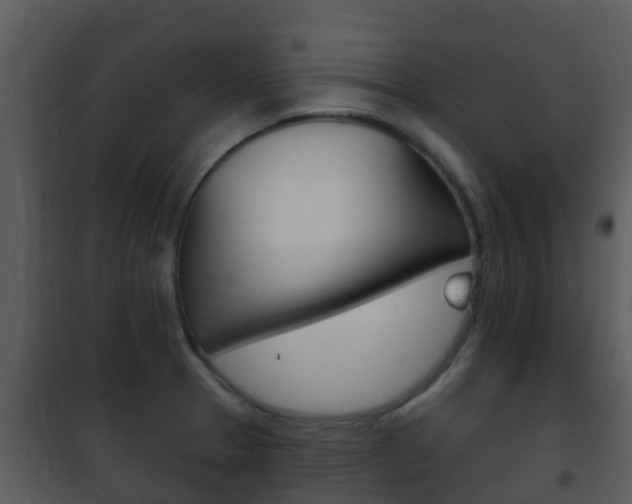 X0000101971329200807180717