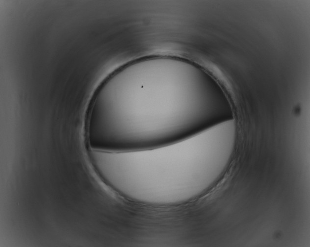 X0000101971331200807180717