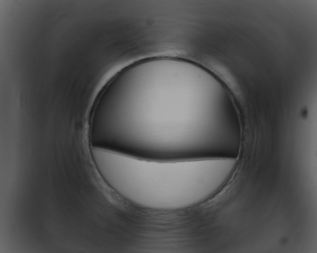 X0000101971332200807180717