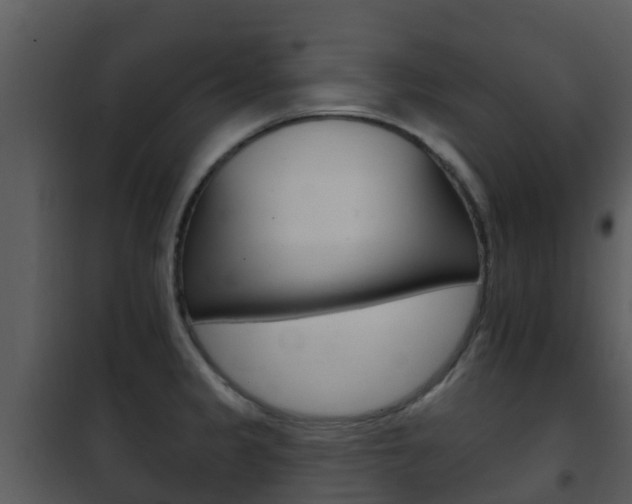X0000101971333200807180717