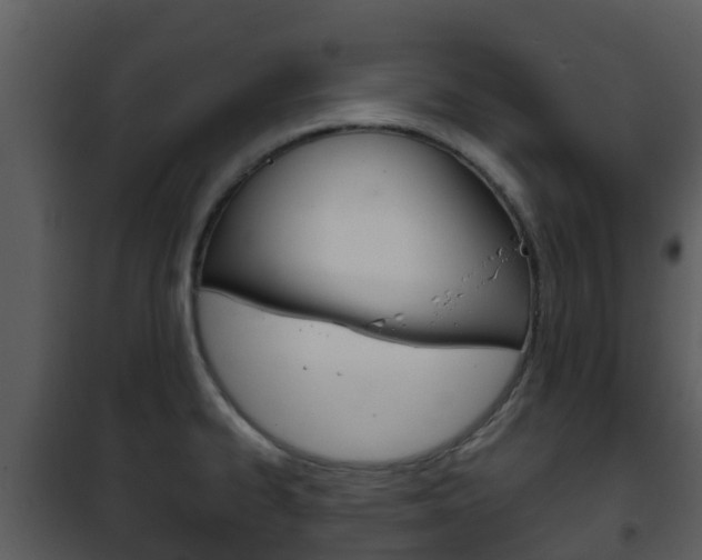 X0000101971334200807180717