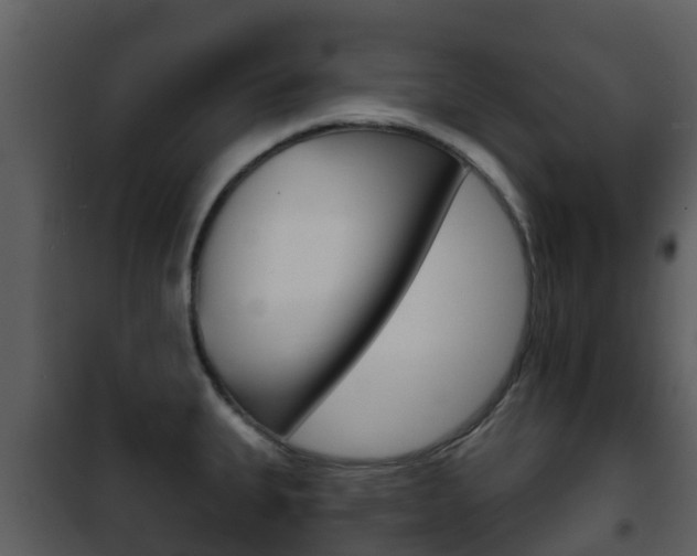 X0000101971335200807180717