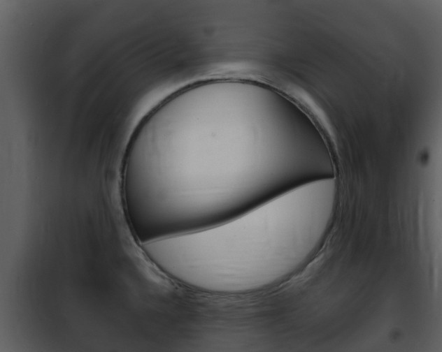 X0000101971336200807180717