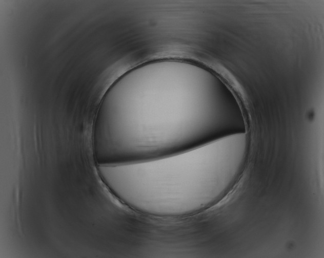 X0000101971337200807180717