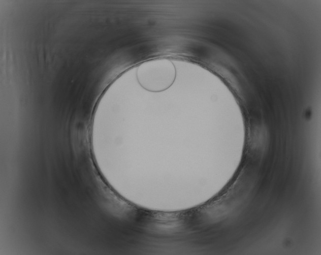 X0000101971338200807180717