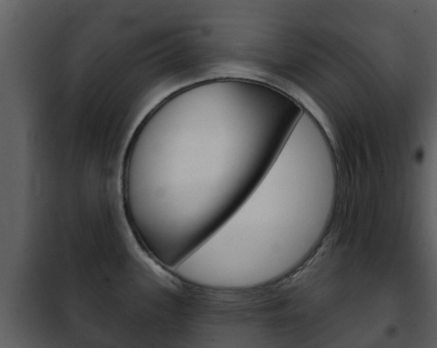 X0000101971339200807180717