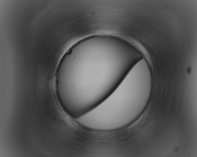 X0000101971340200807180717