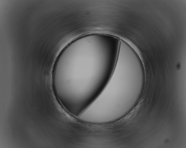 X0000101971341200807180717