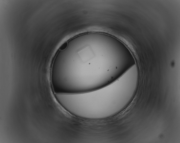 X0000101971342200807180717