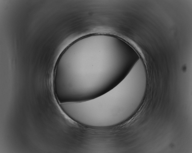 X0000101971343200807180717