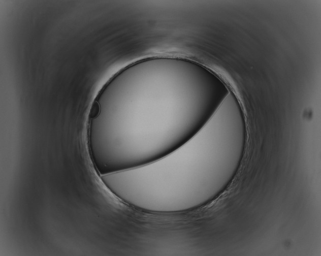 X0000101971344200807180717