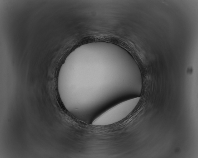 X0000101971345200807180716