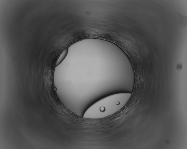 X0000101971346200807180716