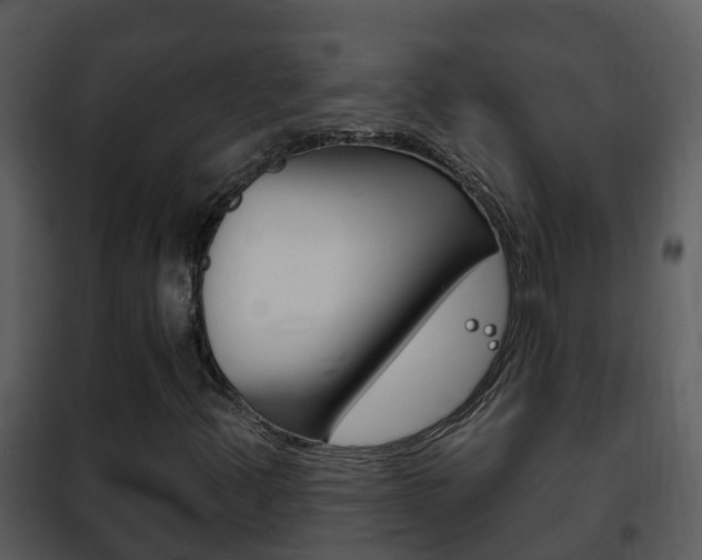 X0000101971347200807180716