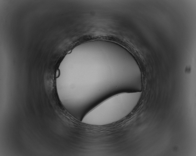 X0000101971348200807180716