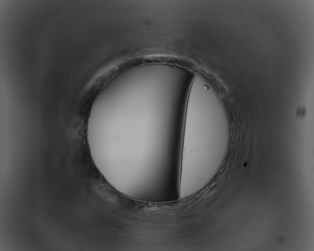 X0000101971351200807180716