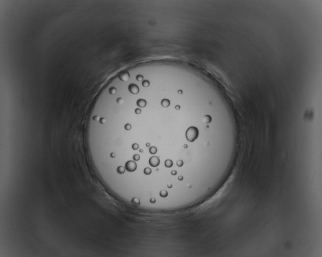 X0000101971353200807180716
