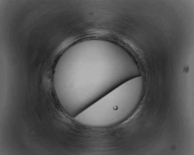 X0000101971354200807180716