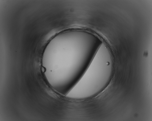 X0000101971355200807180716