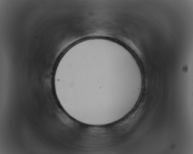 X0000101971356200807180716