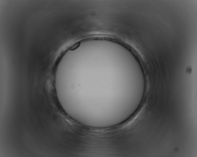 X0000101971357200807180716
