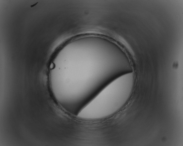 X0000101971360200807180716