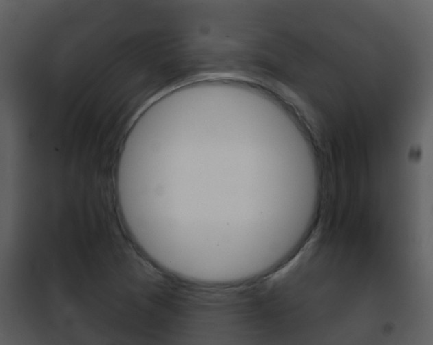 X0000101971361200807180716