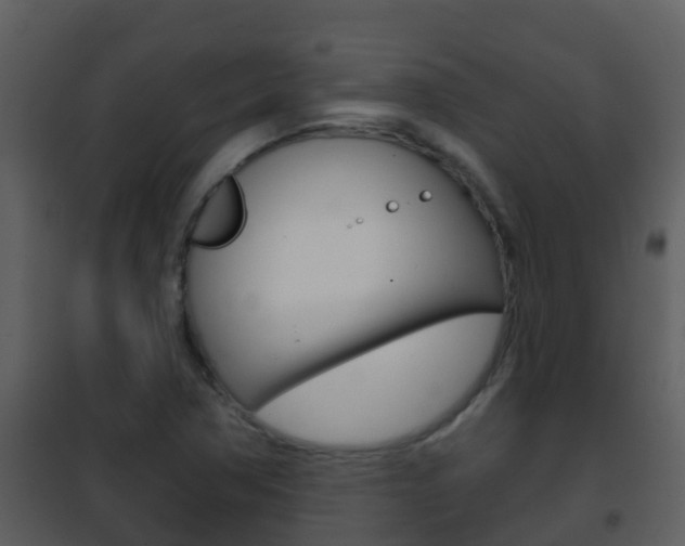 X0000101971362200807180716