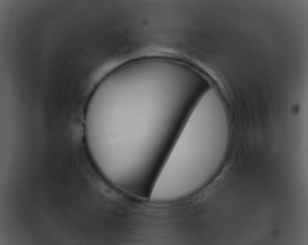 X0000101971363200807180716