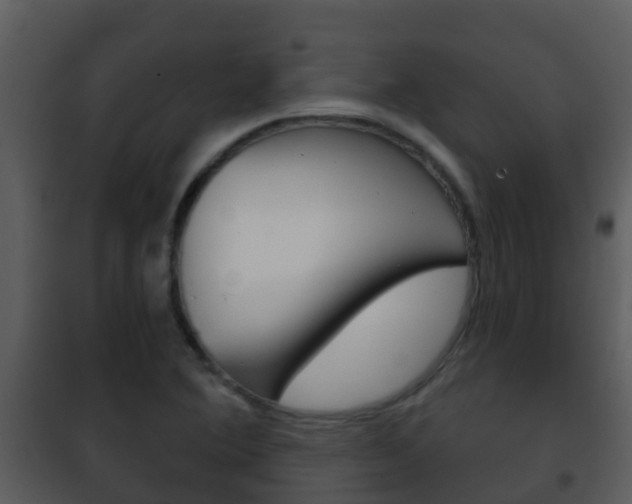 X0000101971364200807180716