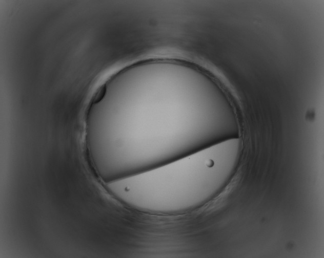 X0000101971366200807180716