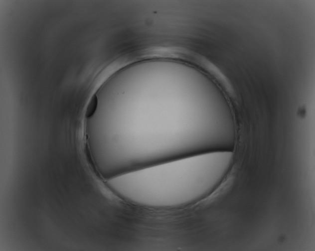 X0000101971370200807180716