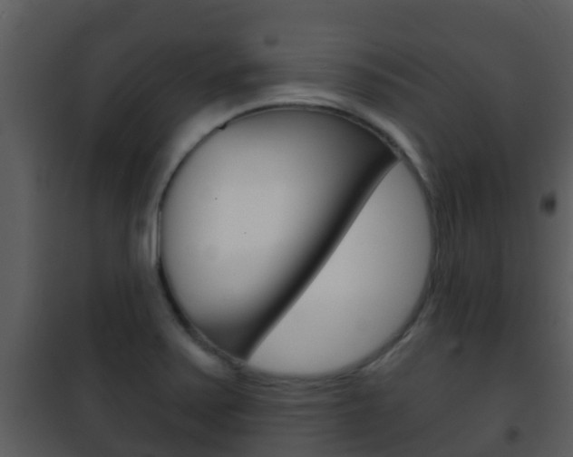 X0000101971371200807180716